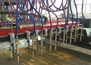 El tipo llama del pórtico del CNC de la tira y cortadora del plasma para H emite la cadena de producción
