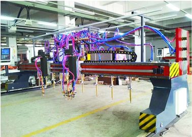 Tipo llama del pórtico CNC5-5000X14000 de la tira de la Multi-cabeza y cortadora del plasma 9+1+1